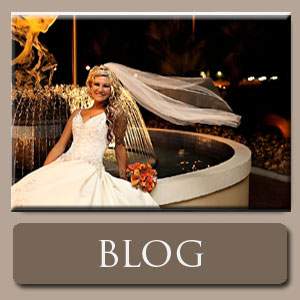 Melbourne Photographer